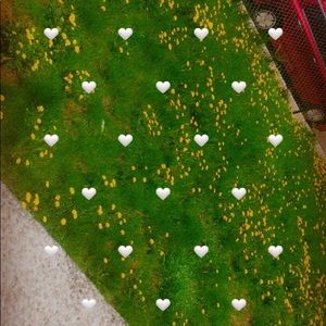 Meet your Posher, Lorine